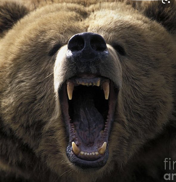 Classes of 21,22,23,24. Tomorrow is last day this year to wear the DOUBLEBLUE together.  Honor 2021 the right way!!  
#Doubleblue🐻
<a href="/BerlinBears_SS/">The Cave</a> <a href="/OBHS2021/">Olentangy Berlin Class of 2021</a> <a href="/obhsclassof22/">OBHS Class of 2022</a> <a href="/obhs_23/">OBHS '23</a> <a href="/OBHSBand/">Olentangy Berlin Band</a> <a href="/Berlin_Bears_FB/">Berlin Bears Football</a> @kjrpoehler <a href="/ObhsStudent/">OBHS Student Services</a> <a href="/Berlin_TandF/">Olentangy Berlin Track & Field</a> @Tyson_Porter <a href="/MrsMimnaEnglish/">Official 🐻 Mrs. Mimna</a>