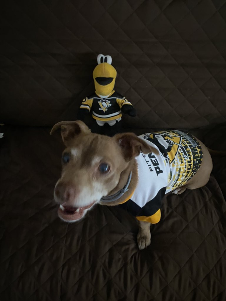 Debs388's tweet photo. @NascarFanatic9 @ATTSportsNetPIT #PensBooth Oakleys rooting the only way he knows how https://t.co/MUFwMmg24O