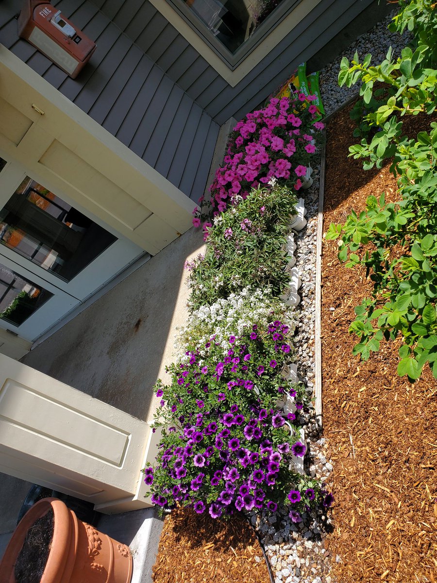 DCote232's tweet photo. Flowers at Hospice House where Pop is being cared for. #NewHampshire #flowers #sayinggoodbyeishard https://t.co/lxLcQFBSWK