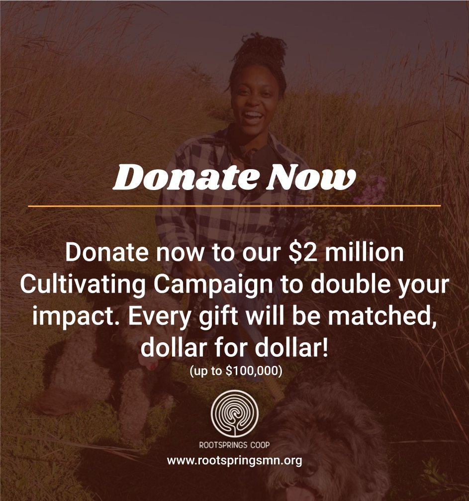 RootspringsMN's tweet photo. We can no longer wait to invest in the healing &amp; restoration of our community. 

We must center healing now as we move towards collective liberation &amp; freedom. 

... https://t.co/Go0aAf4KCI
