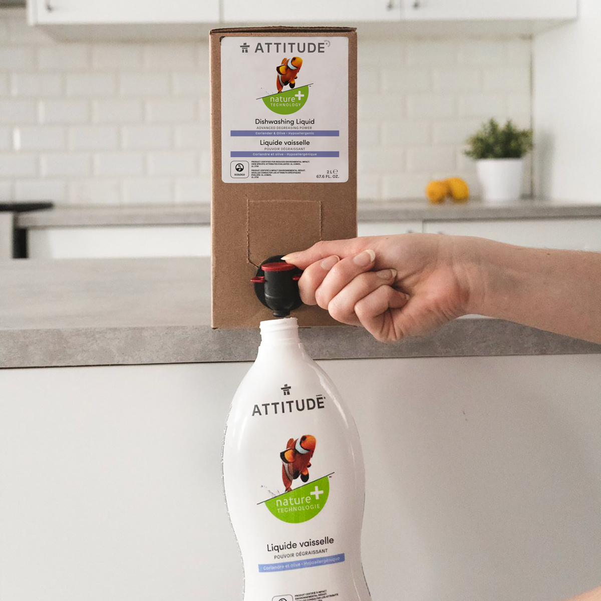 ATTITUDEliving's tweet photo. Filling your bottle at home is easy!✨
The entire container: cardboard and inner sleeve are 100% recyclable.♻️
↠ https://t.co/2FmyfGYqwo https://t.co/ZaeNUGsDrO