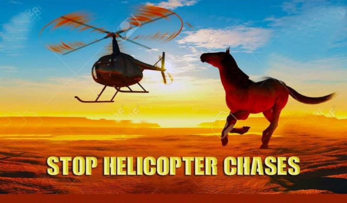 @bandnentx2 @Freedom4Horses #SecDebHaaland @SecDebHaaland 
Secretary Deb Halaand:
🚫 Stop the helicopter roundups. 🚫 

Thank you @nytimes for reporting on the travesties and abuses being done to our wild horses by #BLM.

#SaveOurWildHorses 
#HaltTheHelicopters

@POTUS @FLOTUS @VP