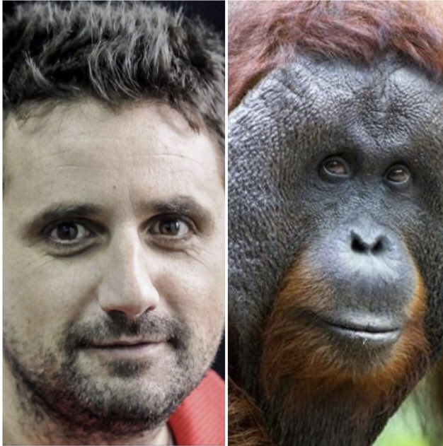 Por cábala y por oídos sanos , que no comente a mi querido Nacional