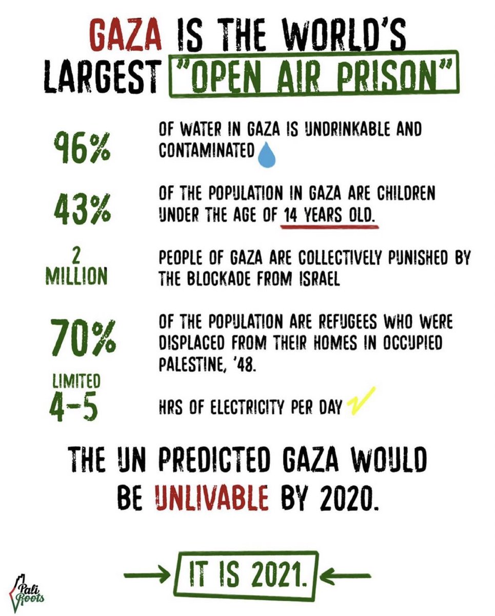 Miral 🇵🇸𓂆 tweet media