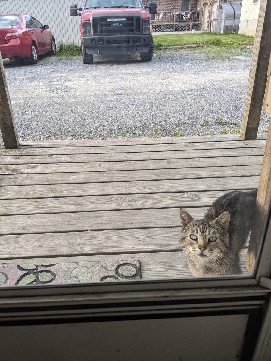 Megan_Cheesy's tweet photo. I would let him in if I could https://t.co/chQ6YSjtXw