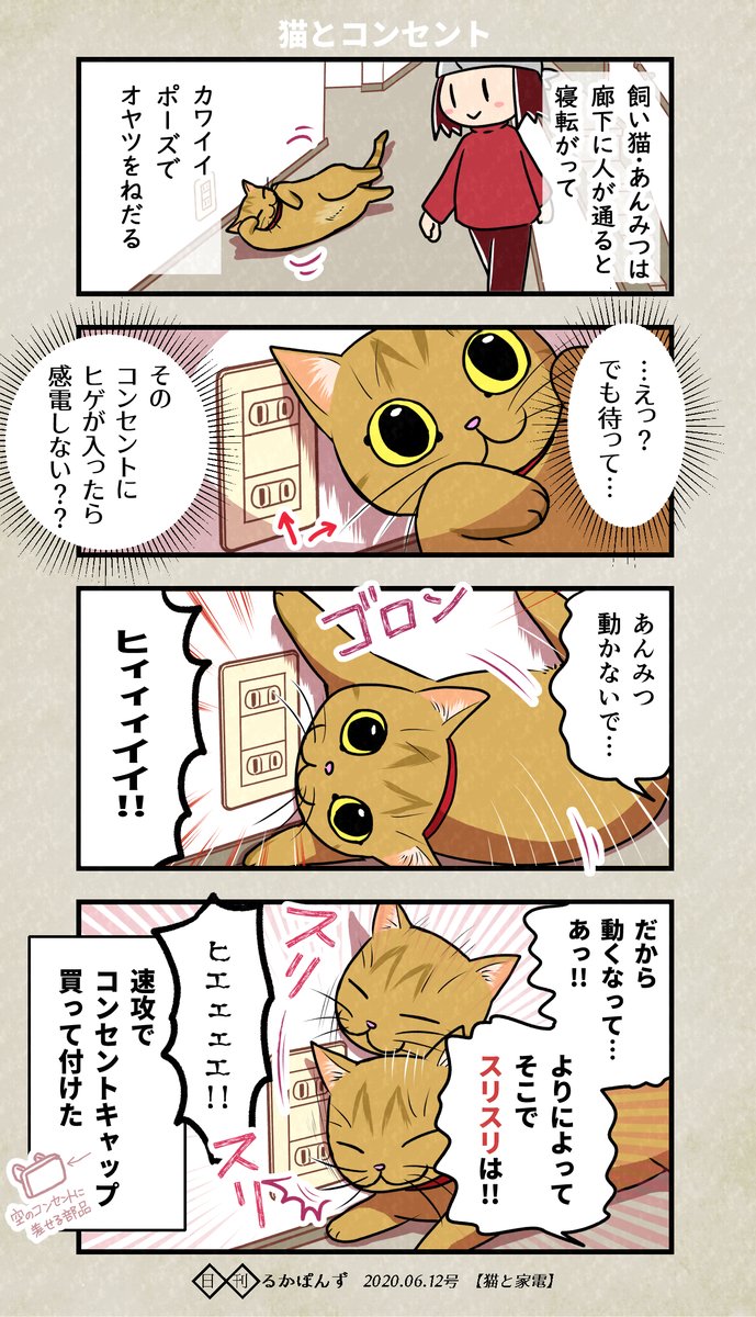 コンセントと猫のハラハラ。(再掲)

#家電マンガ #ぬこにっき #エッセイ漫画 