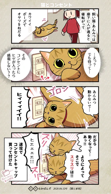 コンセントと猫のハラハラ。(再掲)

#家電マンガ #ぬこにっき #エッセイ漫画 