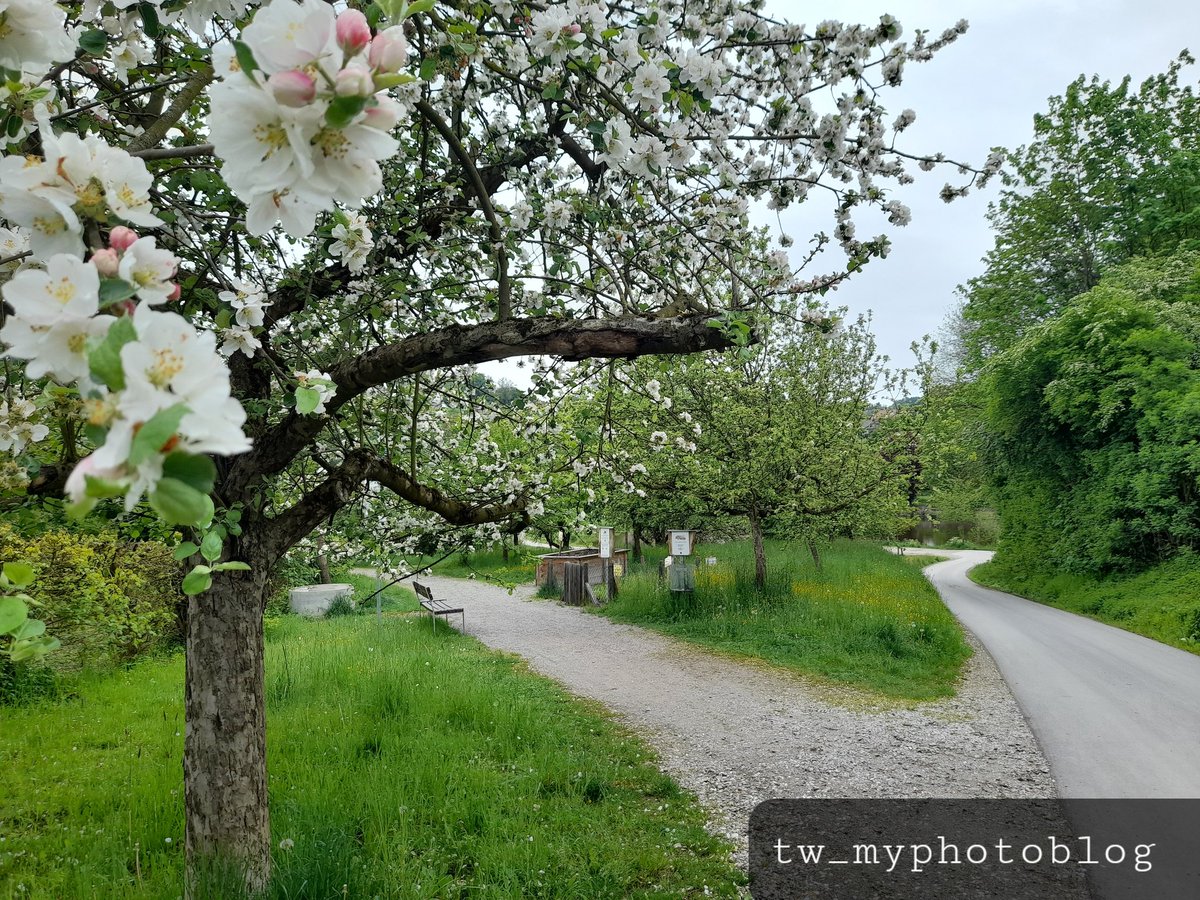 tw_myphotoblog's tweet photo. 🌞Günaydin🌞
#günaydin
#natur
#nature
#natureblog
#natureblogger
#naturebloggers
#naturelove
#naturelover
#naturelovers
#natureloversgallery
#natureloversphotography
#tw_myphotoblog
#vilshofen
#vilshofenanderdonau
#vilshofenunadunavu https://t.co/yxE8bZLNvr