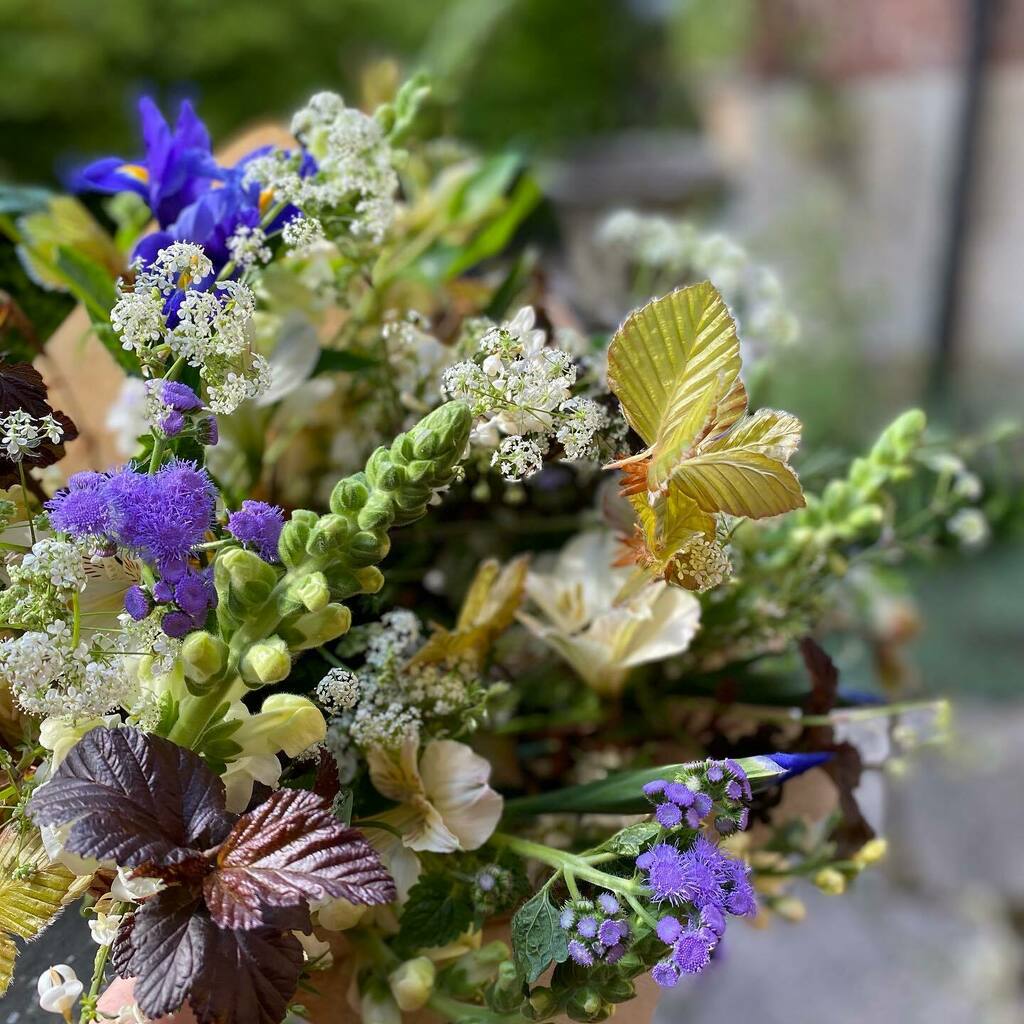 myflowerpatch's tweet image. The recent weather hasn’t exactly been conducive to taking photos! 

Luckily in a quick show of evening sun I caught this shot. 

The smiles on people’s faces when I deliver make up for the lack of sunshine. 

Do get in touch if you need some floral suns… instagr.am/p/CPC5vN-FhnT/