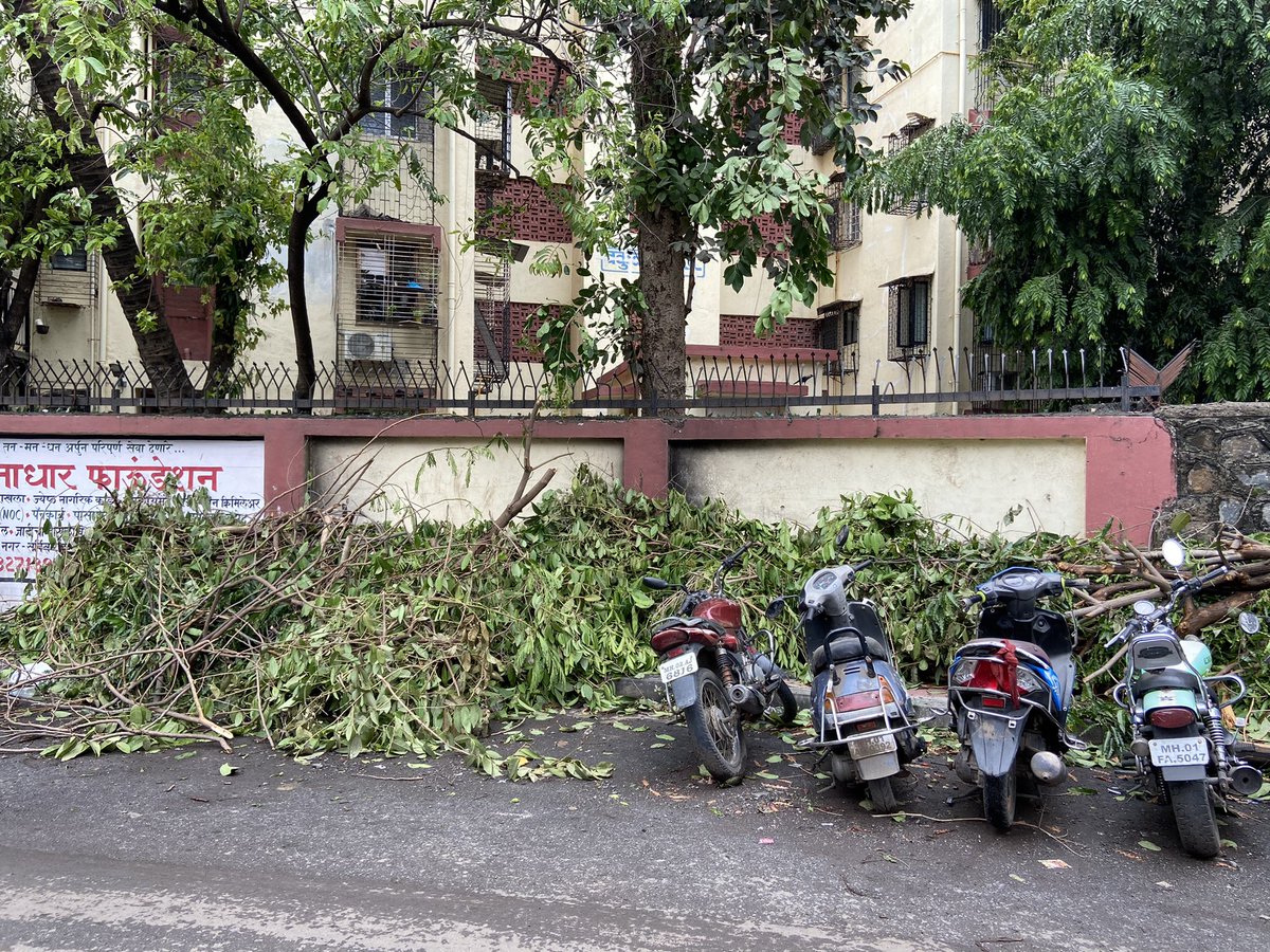 activebandra's tweet photo. Visited few spots in Khernagar where few few old tree have fallen &amp; few on verge to collapse due to gusty winds incessant rains &amp; high tide due to #CycloneTautkae We request  @mybmcWardHE @mybmc Team for quick support.

CC :@AUThackeray @zeeshan_iyc 

Regards,
@activebandra https://t.co/3jccjcBUwJ