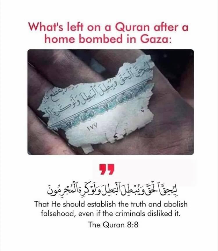 #Free_Palestine #IStandWithPalestinians