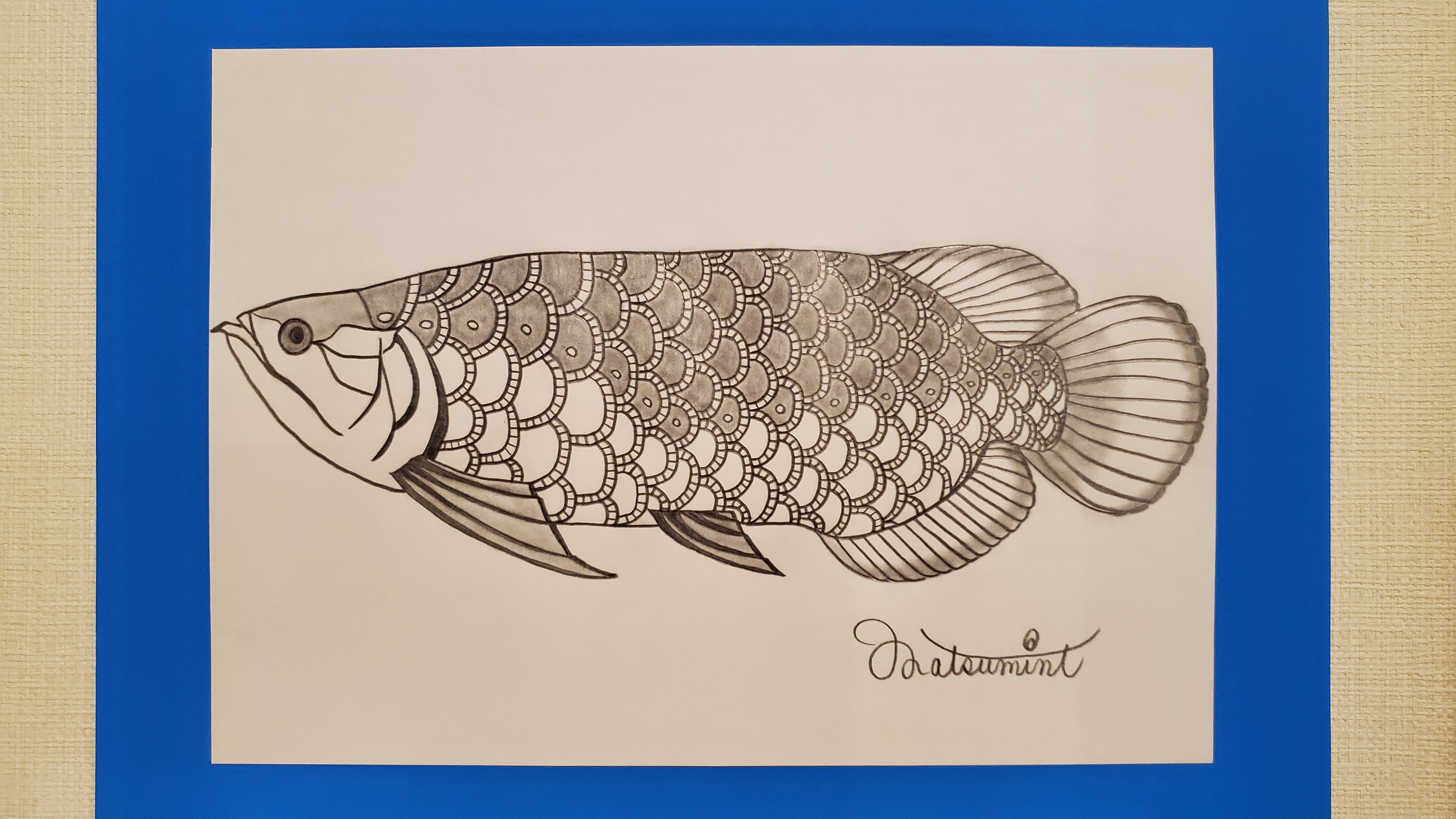 Matsumint 小杉湯さんで展示してたイラスト 今回はアロワナです 大きくてキレイでカッコイイ淡水魚 私のイラスト の鱗はなんだか鯉のぼりのように仕上がりましたww イラスト アロワナ 鉛筆画 Illustration Art 淡水魚 魚 Fish Arowana
