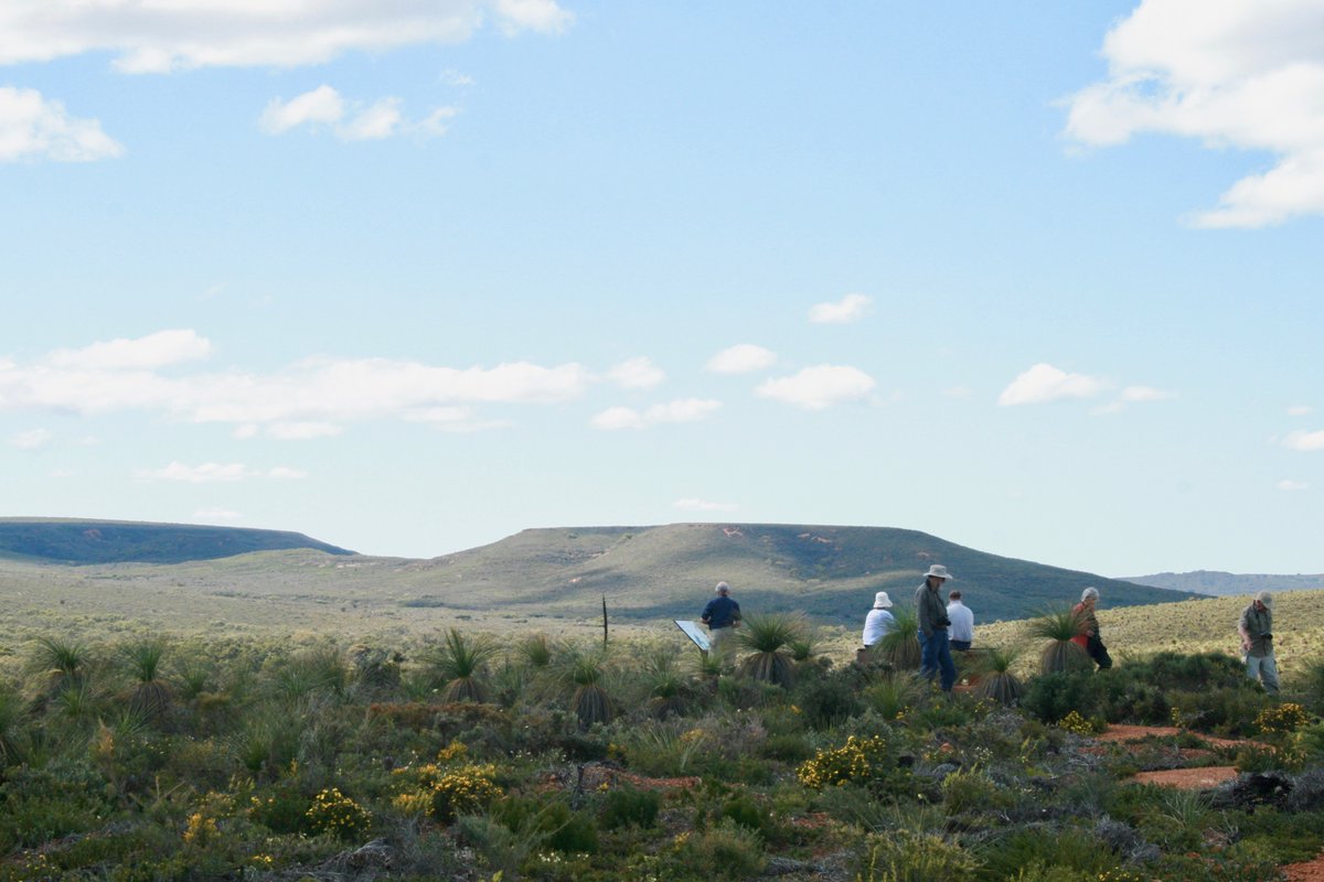 We are excited to announce a SECOND Mid West Wildflower tour in 2021 🌸 
As one of our most popular tours, we expect spots will fill fast, so contact us today to secure your spot! 
#wildflowers #australianwildflowers