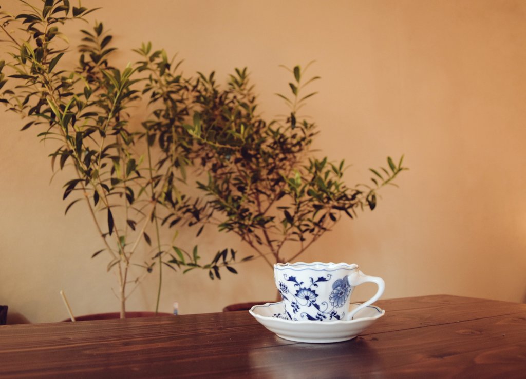 ট ইট র Cafe Du Miconos カフェ ミコノス 梅雨らしい雨の天気になりました 今日はオリーブ の植え替えをしつつスタートです 日本の雨は酸性に傾いているので梅雨の雨を考慮し土壌のphを6 5にしました オリーブは7ちょいが好きなので 梅雨時期に土 のphが好む