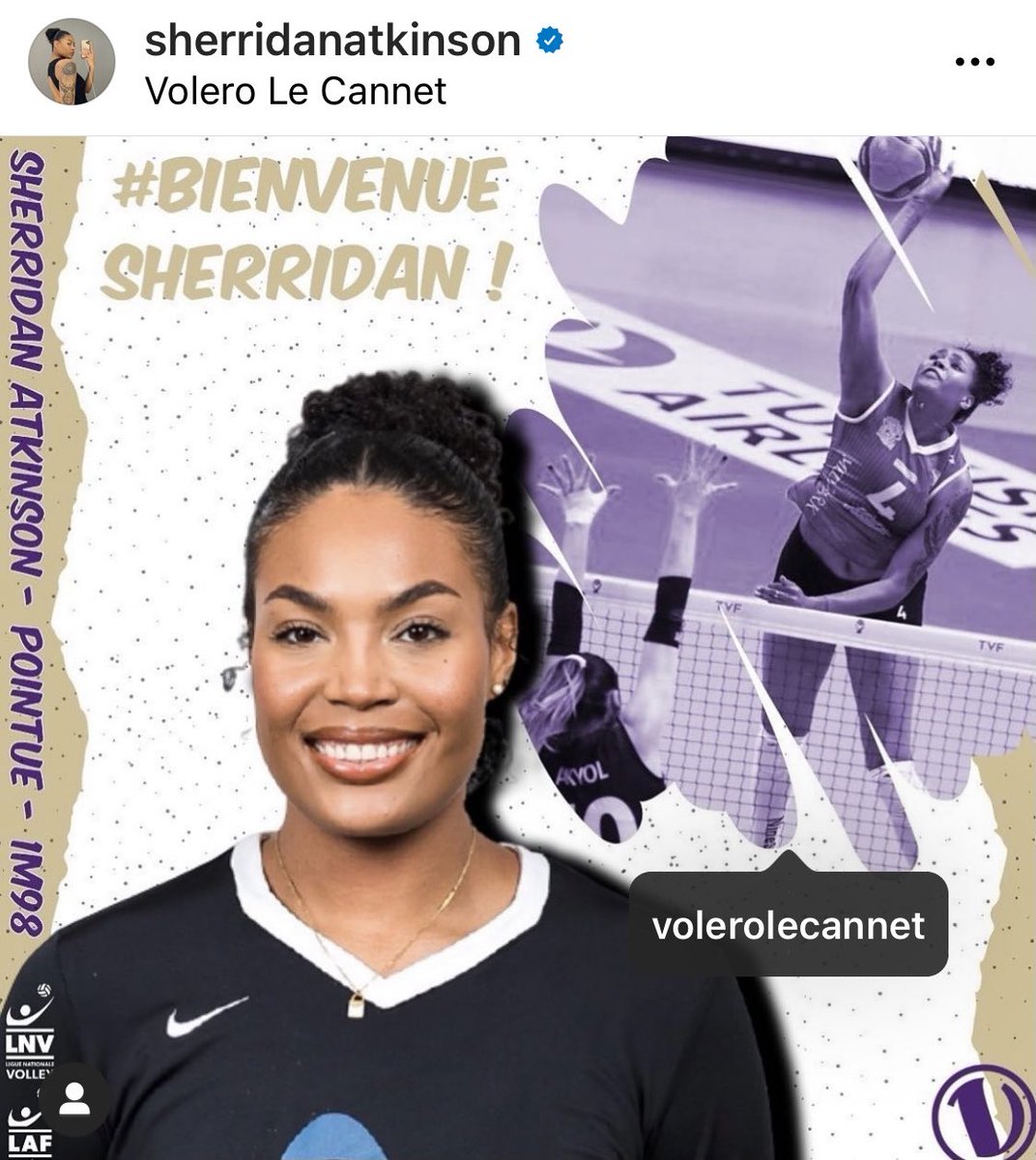 Dave Shondell tweet media