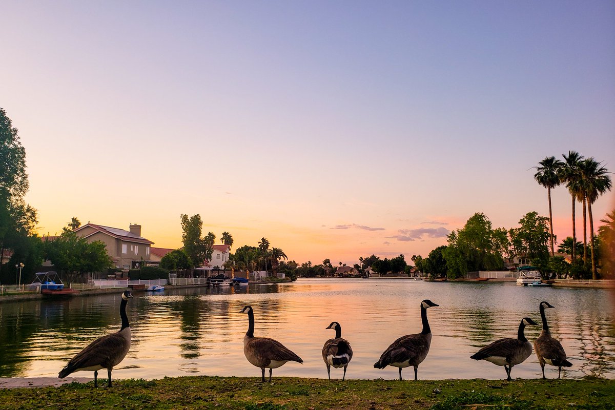 AZAvondale's tweet photo. A beautiful sunset this Tuesday in Avondale. #DiscoverAvondale #AviAz https://t.co/8AKgEGnatI