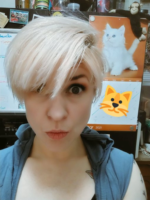 Might be getting a little long there. I can't see. Also, check out that kitty calendar 😍 https://t.c<a href="/tag/clip"class="tags"><span>#clip</span></a>