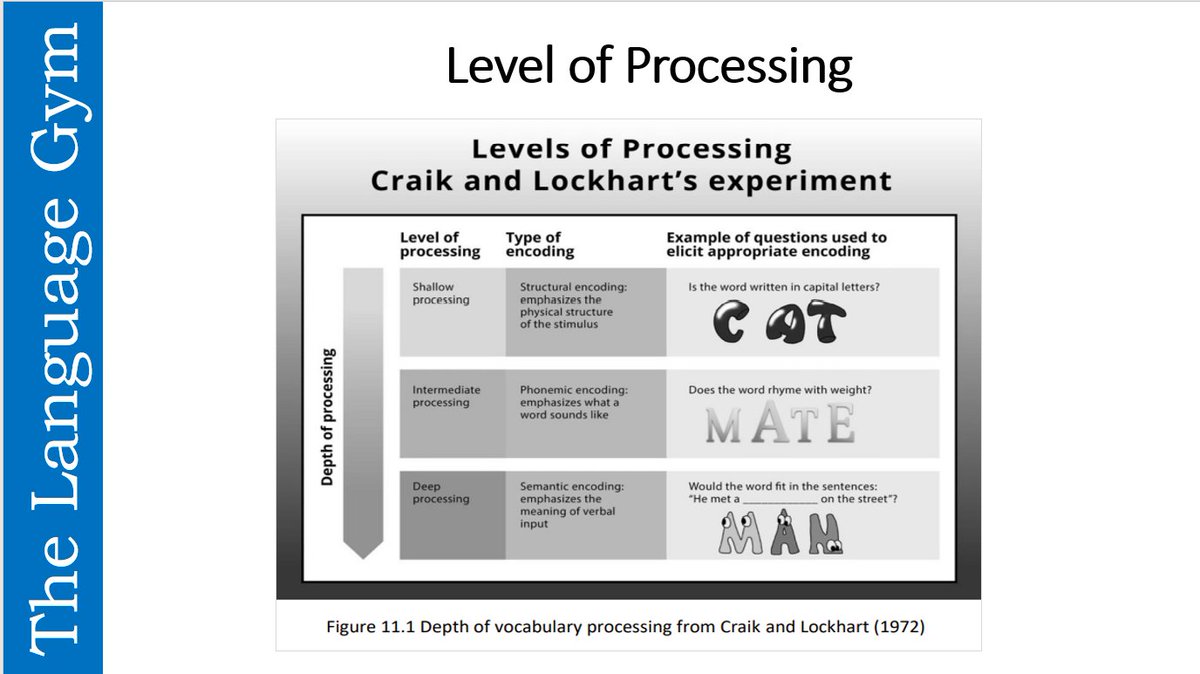 gianfrancocont9's tweet photo. There's much emphasis on RETRIEVAL PRACTICE these days, which is good.

However, ENCODING PRACTICE, i.e. how a target item is initially processed and stored is as important, as initial storage will inevitably affect retrieval. 

DEEP PROCESSING gives rise to strong encoding. https://t.co/C1RVutT0Wr