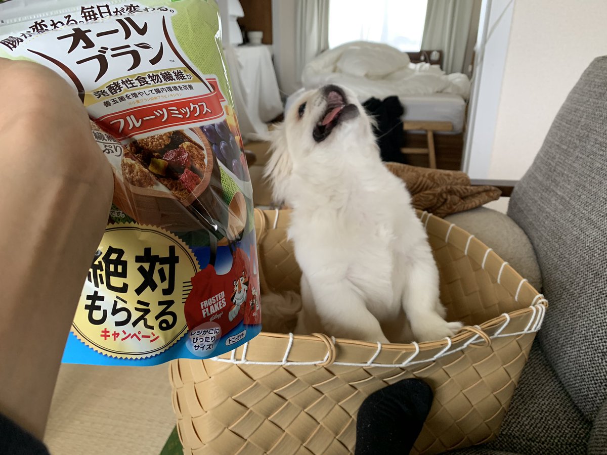 これは俺のドッグフードです シリアルの袋を見て自分のご飯と勘違いして喜ぶワンコがかわいい 袋に気持ちが書いてある Togetter これは俺のドッグフードです シリアルの袋を見て自分のご飯と勘違いして喜ぶワンコがかわいい 袋に気持ちが書いてある Togetter