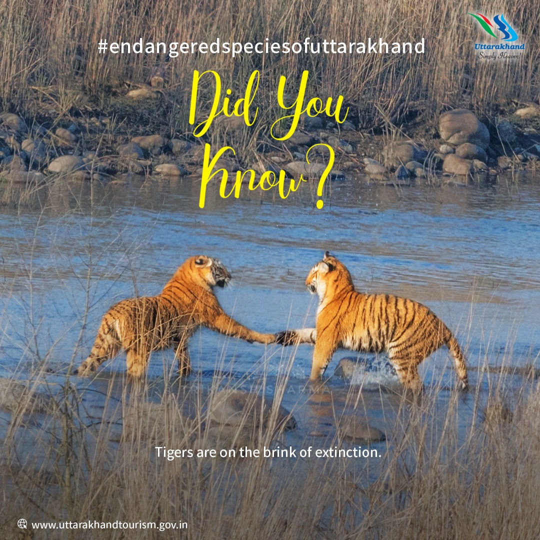 Uttarakhand Tourism on Twitter: Uttarakhand Tourism on Twitter: