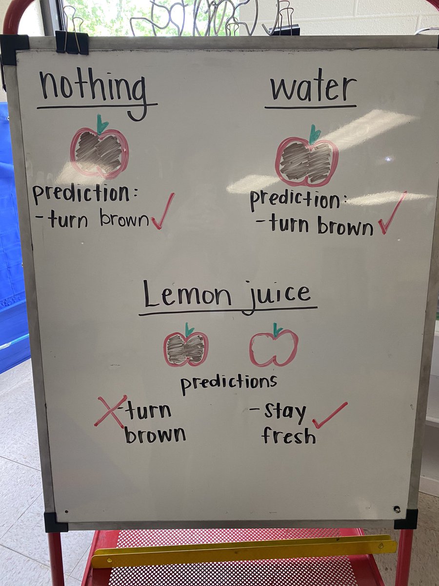 MsCothronPES's tweet photo. Yesterday we read a poem about Archie who loved baking apple pie, but.. every time he cut his apples open they turned brown ๐ฅด In order to help Archie, we observed and made predictions about what might help the apples from changing colors! #KinderExperiments https://t.co/flaoANQ29I