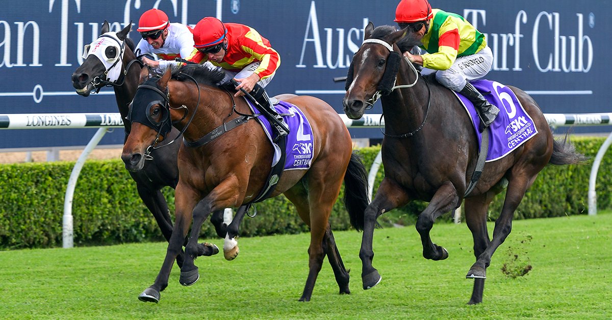 Australian Turf Club tweet media
