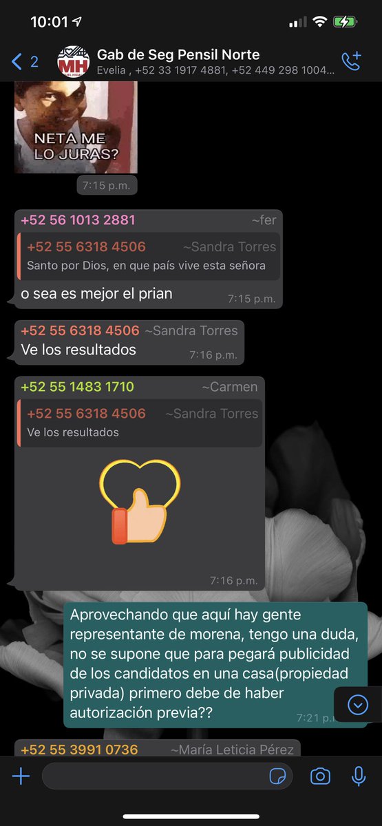 belem_cuellar's tweet photo. Fuera @vromog  y toda su gente de la delegación, está es la gente que tiene @vromog, personas sin educación y que viven de insultar, cómo ves @mauriciotabe https://t.co/FtCtrFGMYv