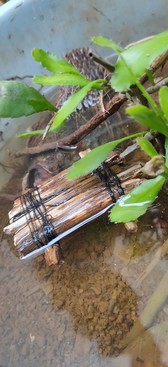 KuraiKumo_'s tweet photo. I made a mini raft https://t.co/8N0egg6lFz