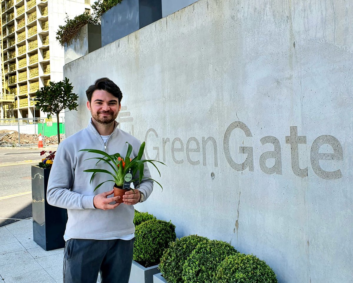 We had some happy plants going to new homes yesterday 😊🌿🪴🌳 #upnw #urbanplanters #valueofplants #plantsatworkweek #plantlove #happy #health #greenery #biophilicdesign #mentalhealth #workplanting