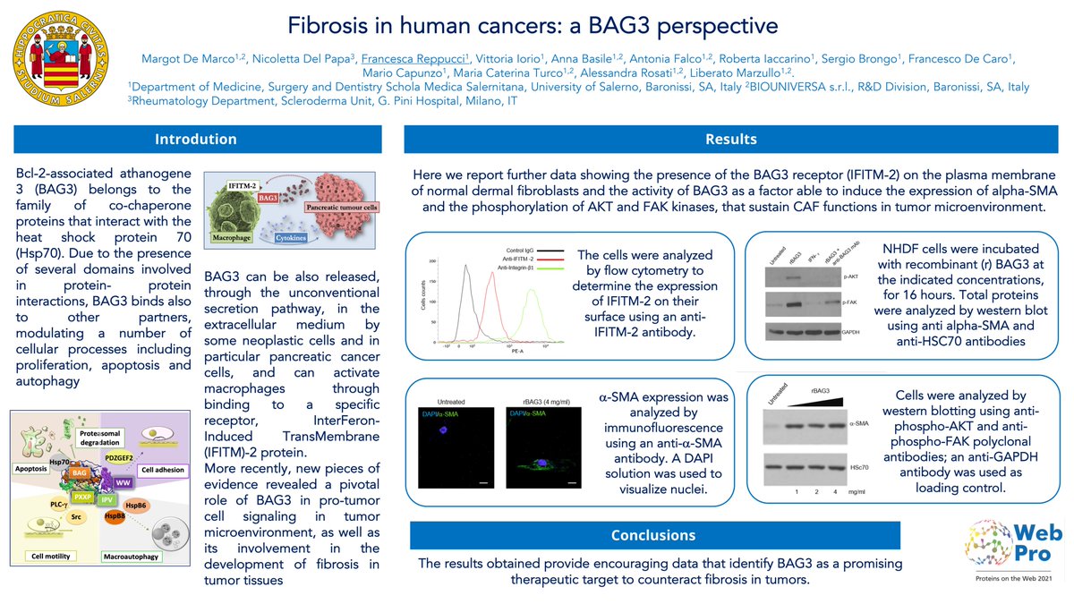 ProteinsOnTheWeb (@onproteins) on Twitter photo ๐ WebPro presents... Fibrosis in human cancers: a BAG3 perspective. by <a href="/FReppucci/">Francesca Reppucci</a> ๐ WebPro presents... Fibrosis in human cancers: a BAG3 perspective. by <a href="/FReppucci/">Francesca Reppucci</a>
