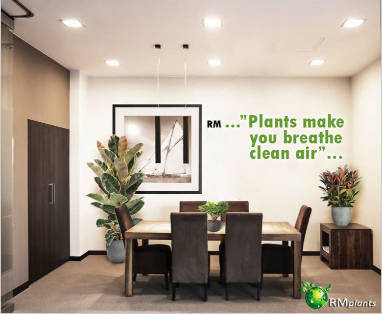RMPlants's tweet photo. https://t.co/1Ck2Zq8RfD