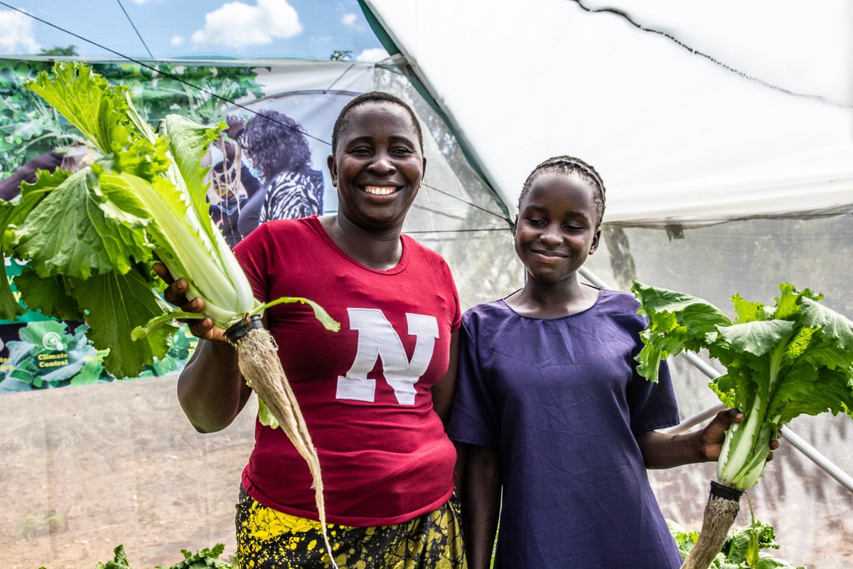 School hydroponic gardens in #Zambia are improving school meals – making a difference to children’s health, nutrition &amp; education.

‘’My daughter has more energy to study now that she is provided with a nutritious lunch,’’ says Mary, Lisabel’s mother from Gwembe. <a href="/GermanyinZambia/">German Embassy ZAM</a>