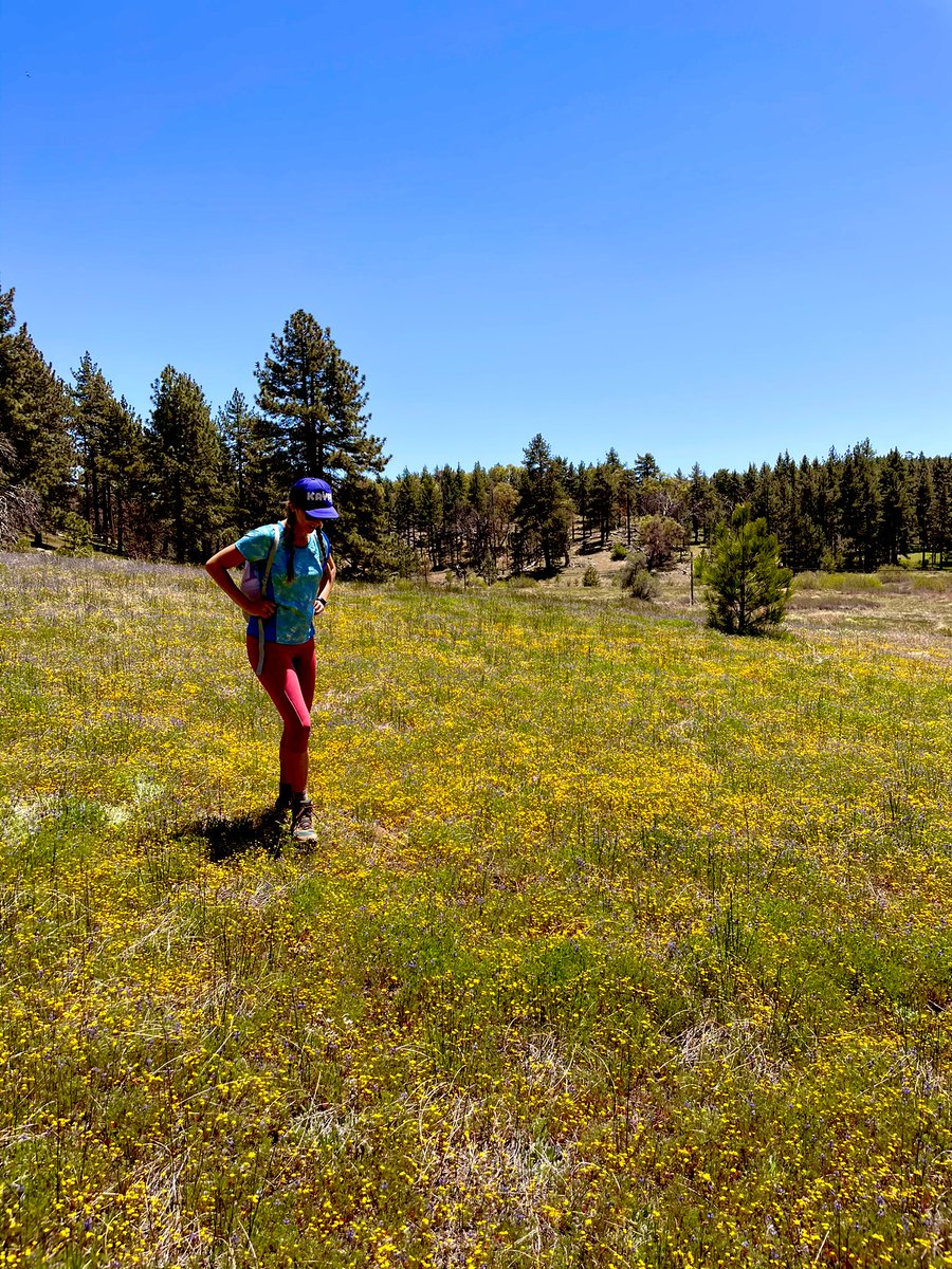 Dianna Cowern tweet media