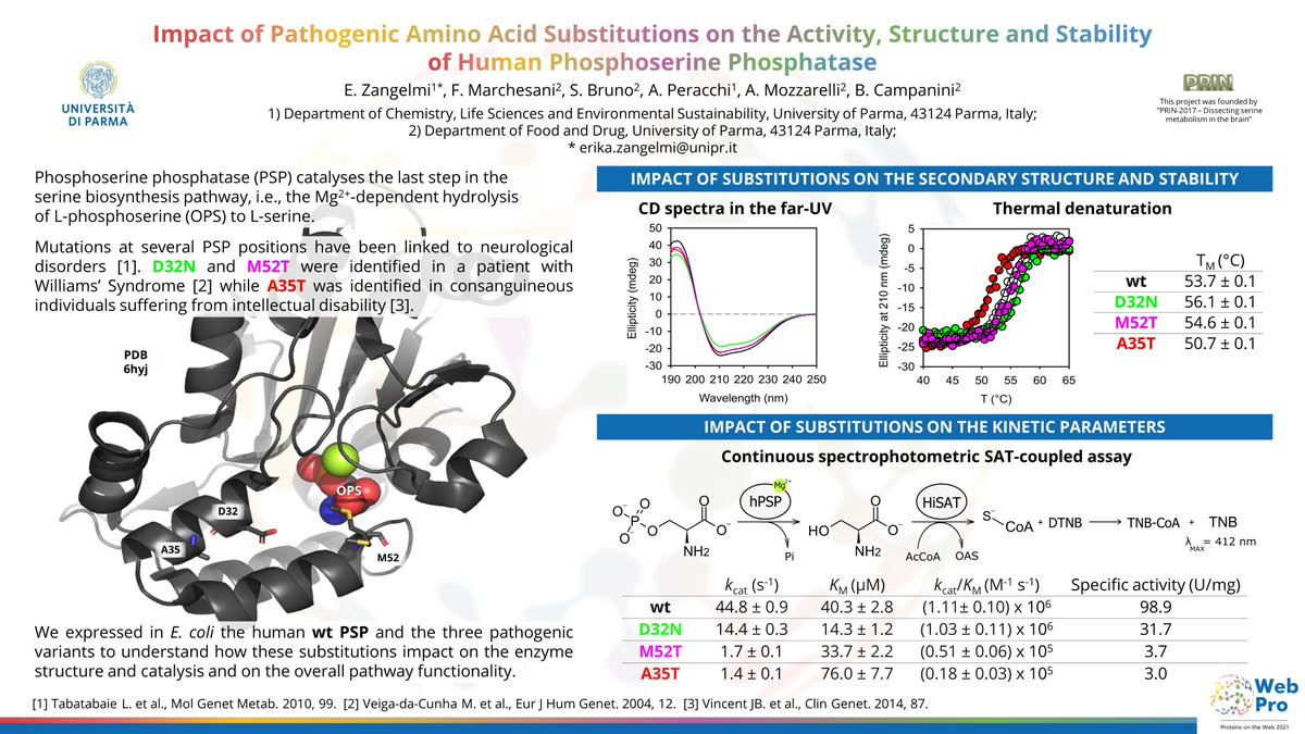 ProteinsOnTheWeb (@onproteins) on Twitter photo ๐ WebPro presents... Impact of pathogenic amino acid substitutions on the activity, structure and stability of human phosphoserine phosphatase by <a href="/ZangelmiErika/">Erika Zangelmi</a> ๐ WebPro presents... Impact of pathogenic amino acid substitutions on the activity, structure and stability of human phosphoserine phosphatase by <a href="/ZangelmiErika/">Erika Zangelmi</a>