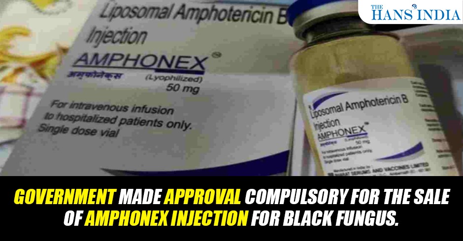 TheHansIndiaWeb's tweet photo. Government made approval compulsory for the sale of Amphonex injection for black fungus.
#Government #Approval #Amphonex #Injection #Blackfungus https://t.co/ZqTvmW7rD1