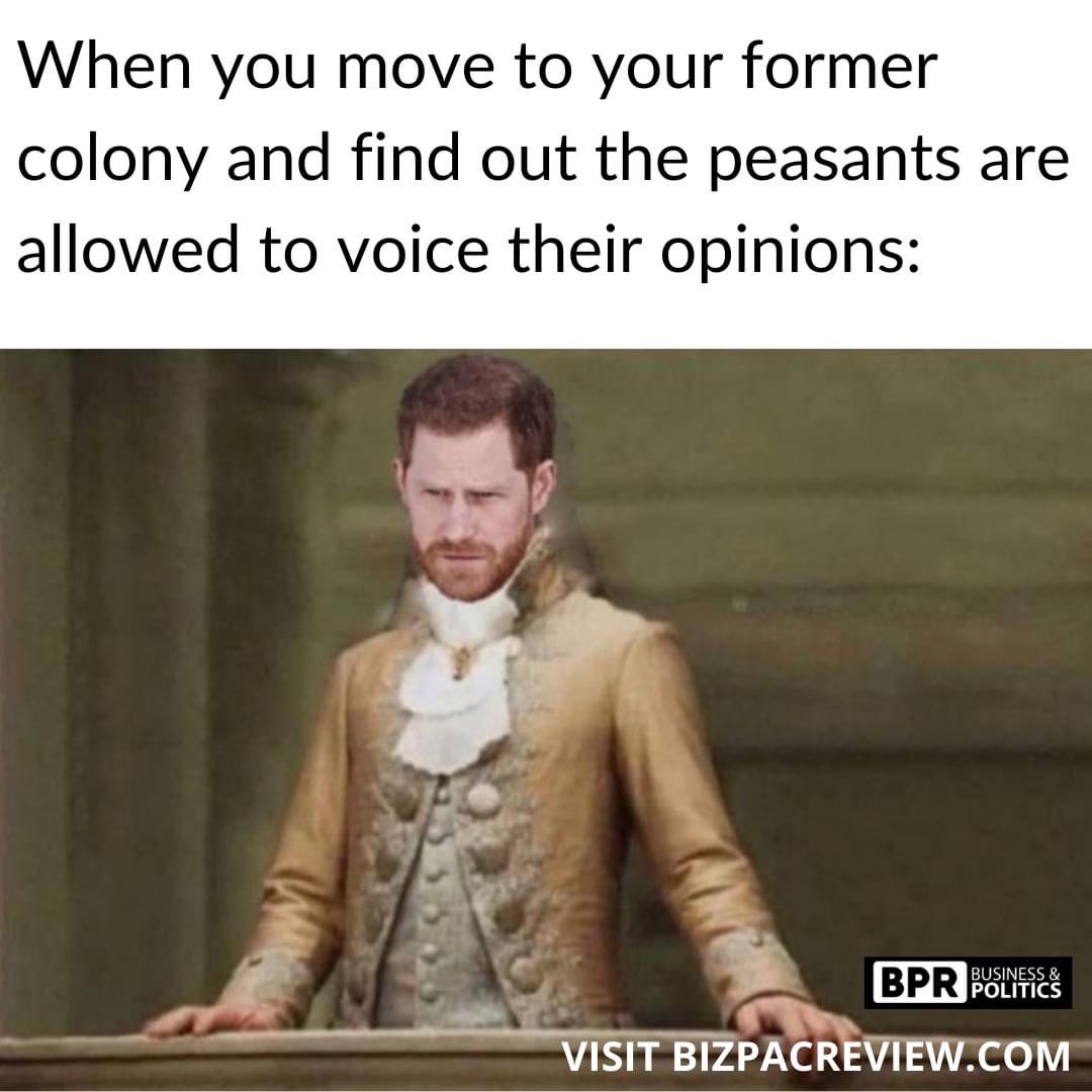 mayan_lady's tweet image. #ProtectTheFirst #FirstAmendment #PrinceHarry