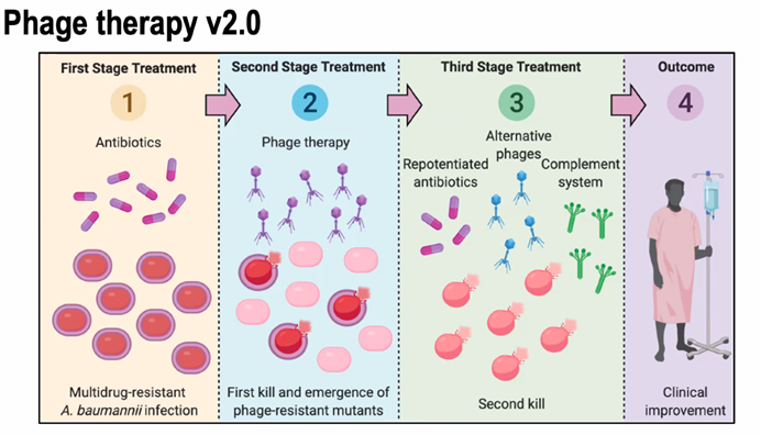 Great lecture yesterday by <a href="/JeremyJBarr/">Jeremy J Barr</a> <a href="/crc1371/">Microbiome Signatures</a>. Amazing research looking at the adaptive mechanisms in the tripartite symbiosis of phages, bacteria, and epithelial cells, on a #GutOnAChip model. New #phagetherapy clinical options for the fight of #AntibioticResistance