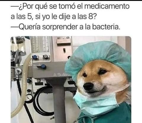 Ahuevoooooo