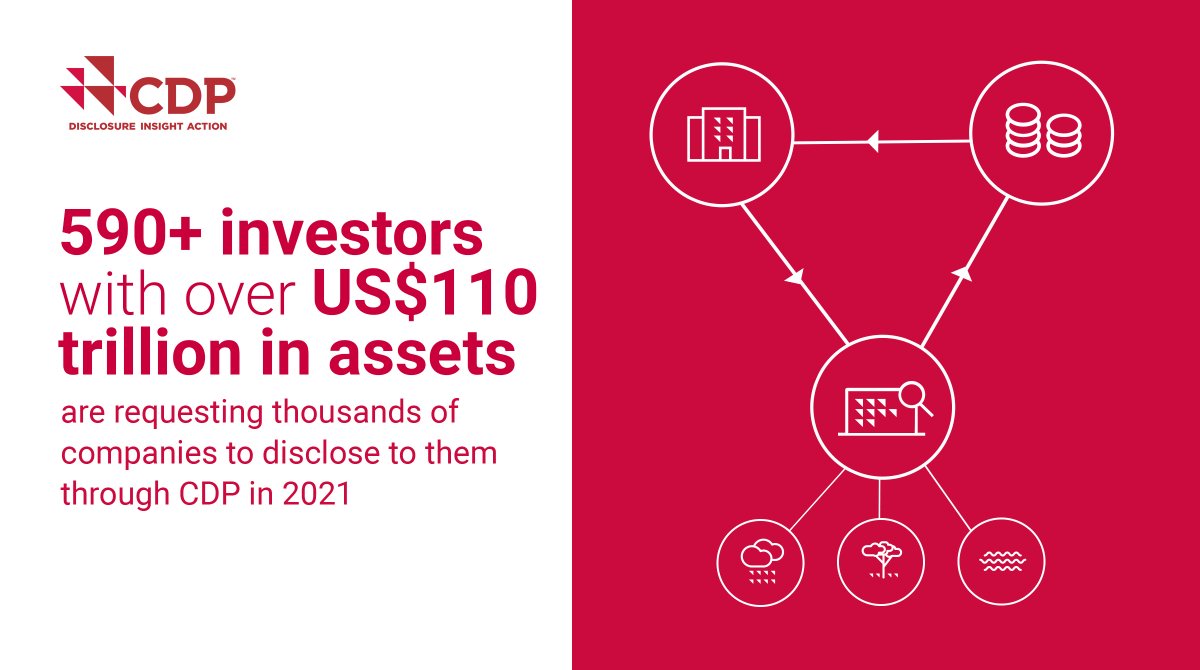 @CDP’s 2021 disclosure platform is open for companies 📢 
More than 590 investors with over US$110 trillion in assets now back CDP’s disclosure request, calling on businesses to step up on #EnvironmentalTransparency. 
Start now ➡️ bit.ly/CDPDisclosure