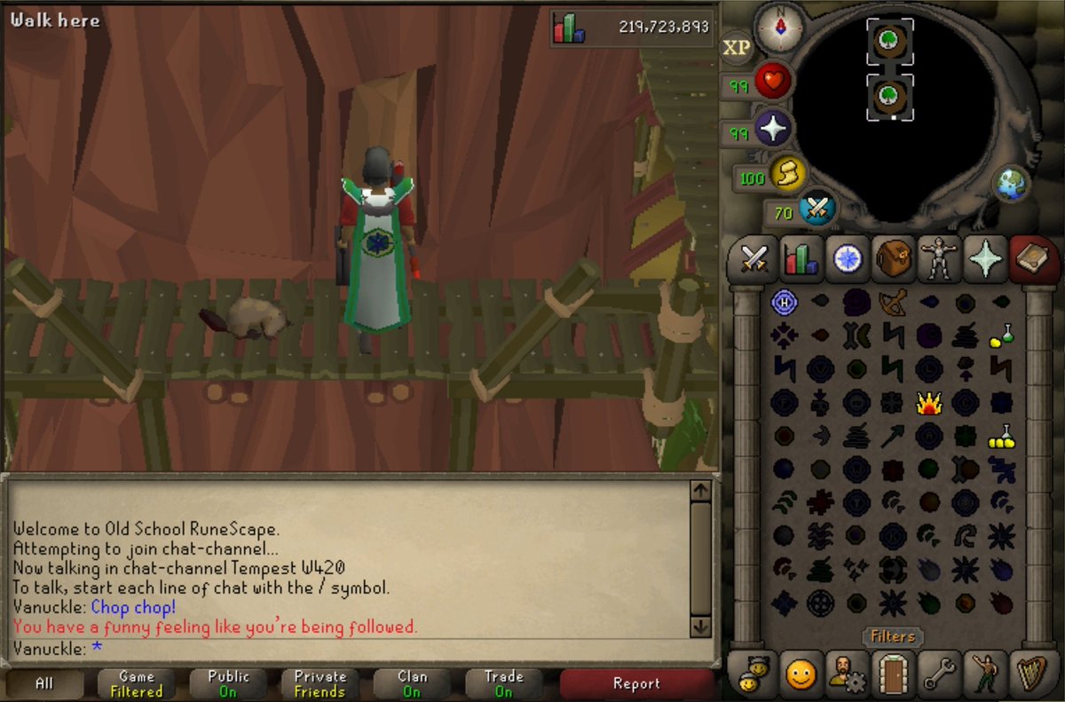 New pal to follow me around Gielinor