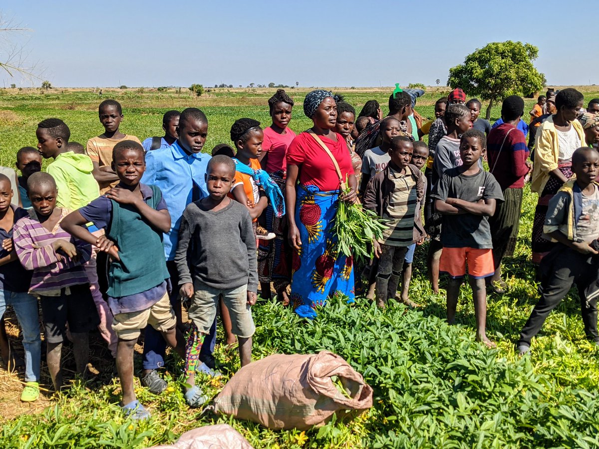 nkwoolley's tweet photo. Today I addressed communities in #Chanyanya at launch of @wwfzambia's Voices for #ClimateAction.

This area is home to UK-backed #ChiansiIrrigation project which reduces farmers’ vulnerability to drought by providing year-round access to water for crops.

@InfracoAfrica @PIDGorg https://t.co/I7ynTYhvNt