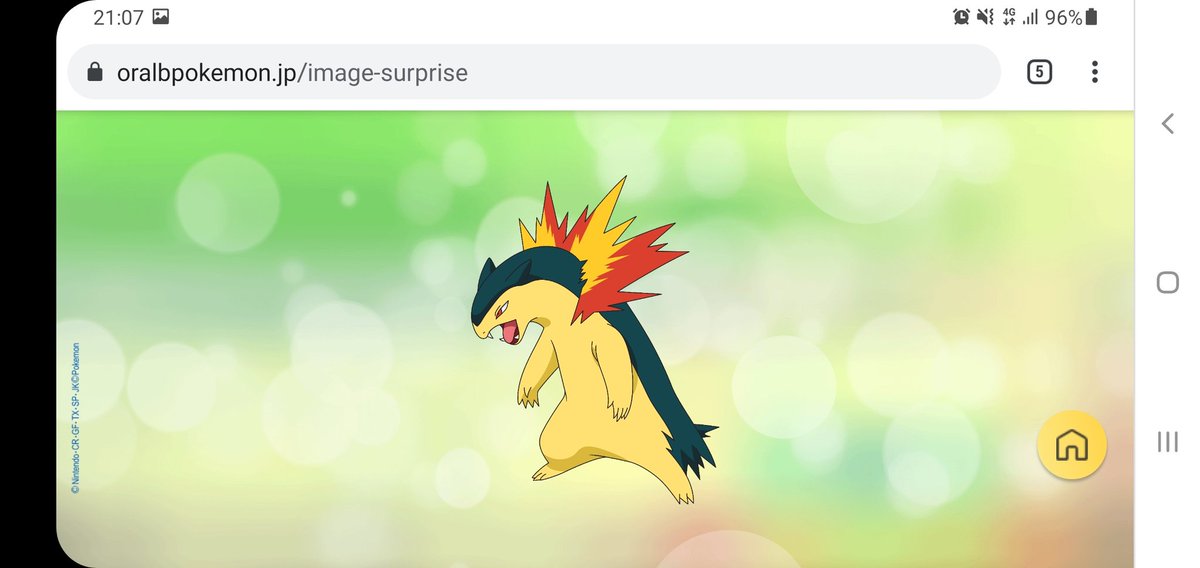 O Xrhsths ギャルボ寸一 Sto Twitter ドテッコツ ガテン系だからパンチパーマなのか プレゼントは バクフーン 走る走る俺たち ポケモンブラッシングマスター