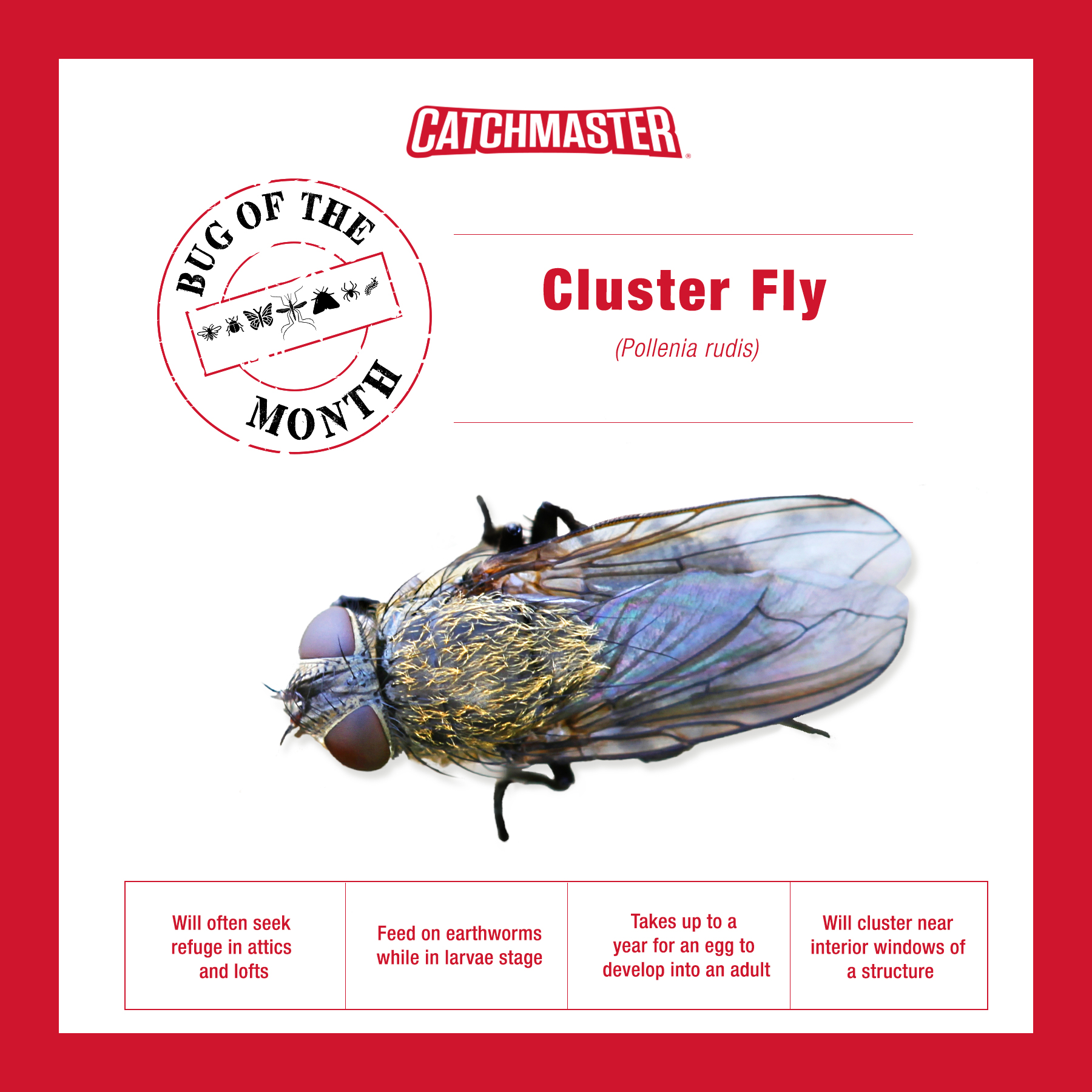 Learn To Fly Month