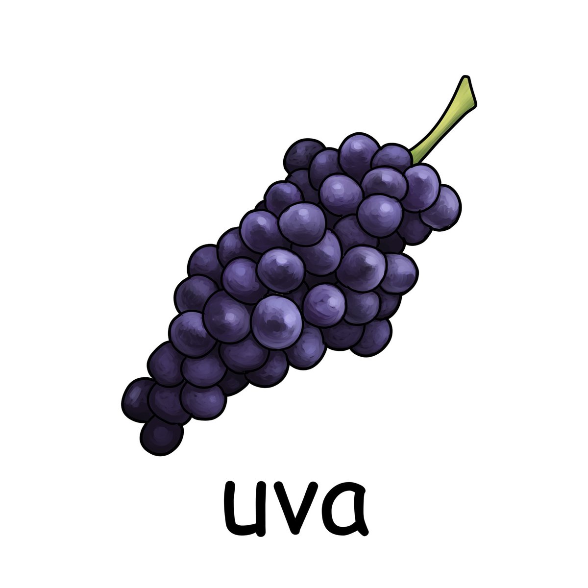 毎日イラストイタリア語 ブドウ Uva ウーヴァ ブドウの木はvite ブドウ畑はvignetoと言います イラスト イタリア語 毎日イラストイタリア語 ブドウ Uva ウーヴァ ブドウの木はvite ブドウ畑はvignetoと言います イラスト イタリア語