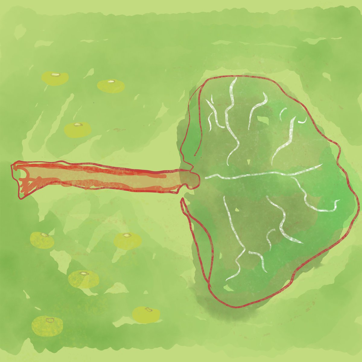 Hoe handig is het om voor ieder product naar een aparte boer te reizen en hoe handig is het voor de boer als hij steeds klaar moet staan voor een eventuele klant? Korte ketens vragen nieuwe logistieke oplossingen. 

noorderbreedte.nl/2021/05/19/voe…

Beeld: Dorine van den Beukel