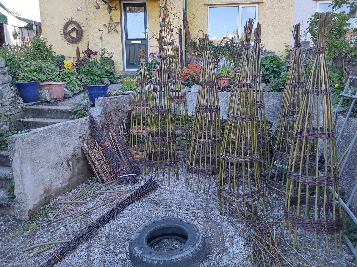 I'll be making willow plant supports at the summer craft shows