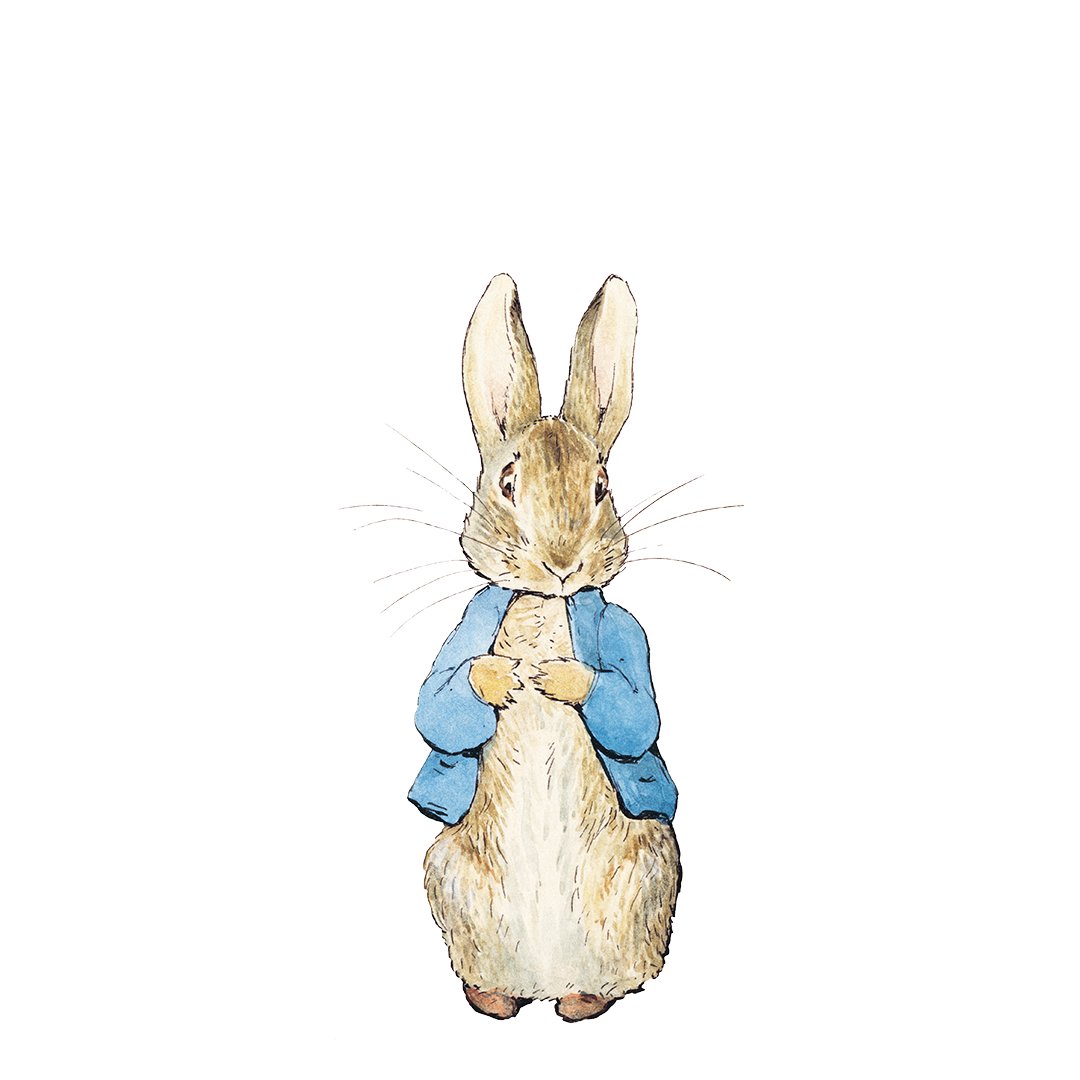 Peter Rabbit комбинезон