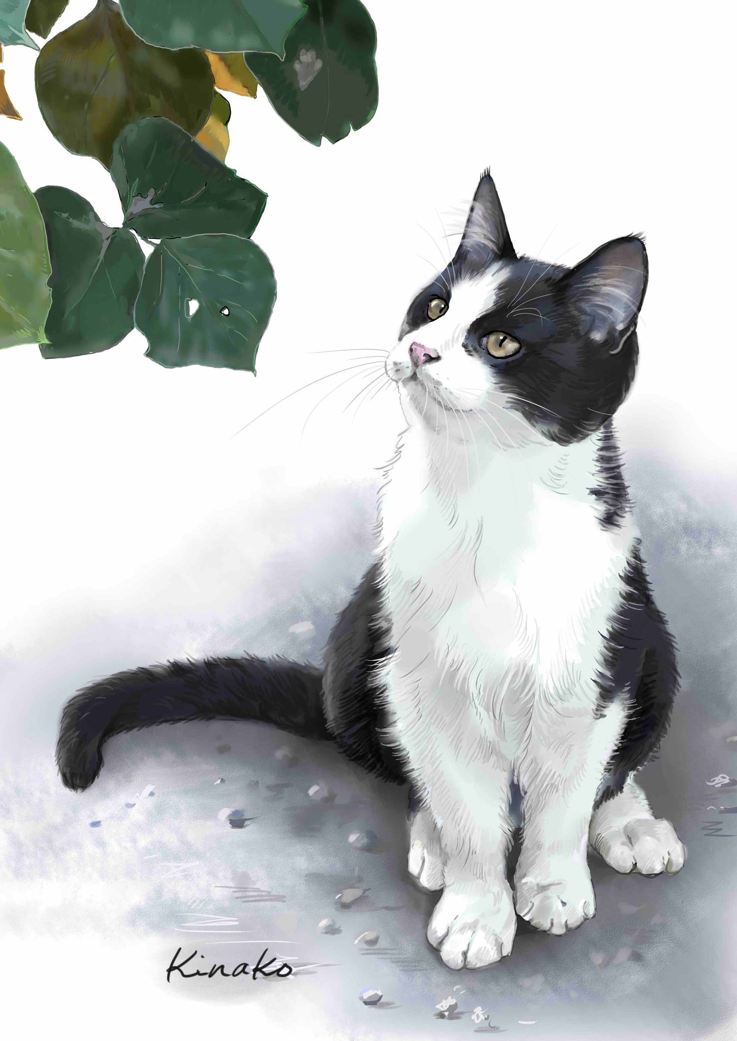 きなこ(猫の絵を描いています） on X: 