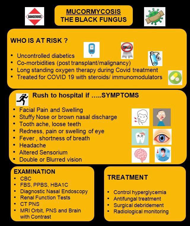 TheFitistan's tweet photo. Early detection is the solution !

Many state Govts declared Black Fungus #Mucormycosis an epidemic 

Know about early signs, symptoms &amp; treatment of this Covid-19 triggered #blackfungal infection.

Please share this with your family and friends to create awareness. https://t.co/LdcacPaNhQ