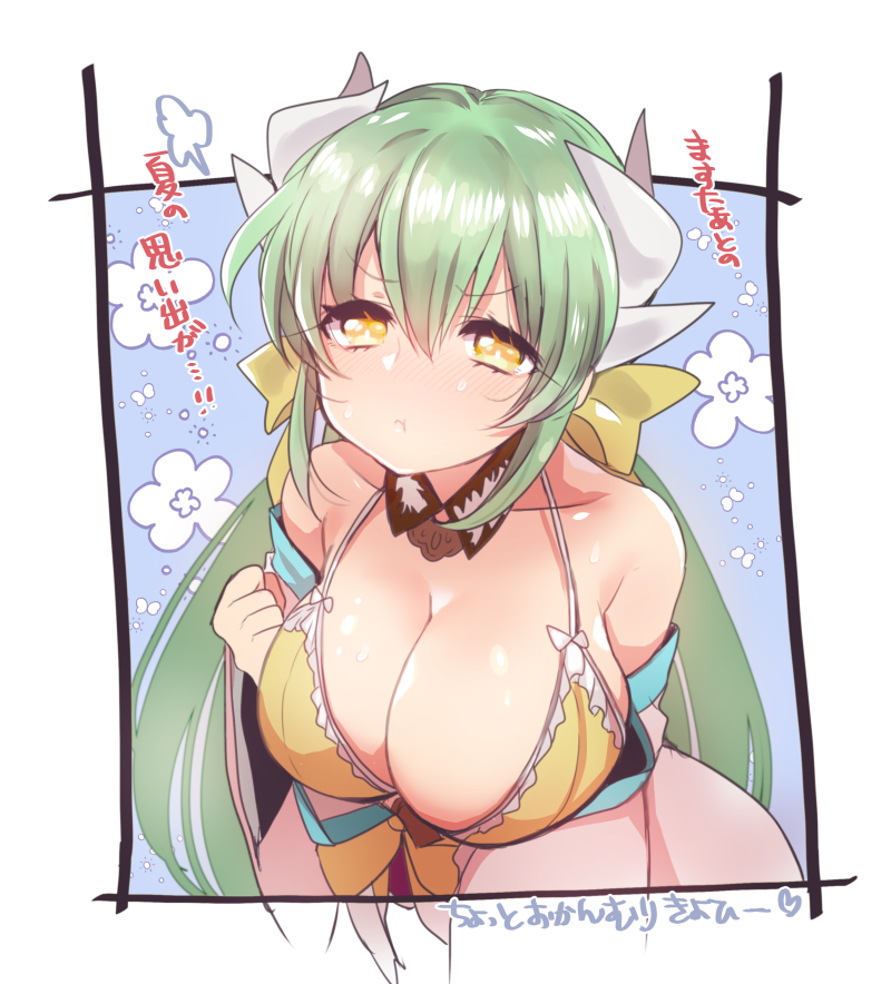 サマキャン復刻わーい!水着清姫は良いぞ…!(再掲 